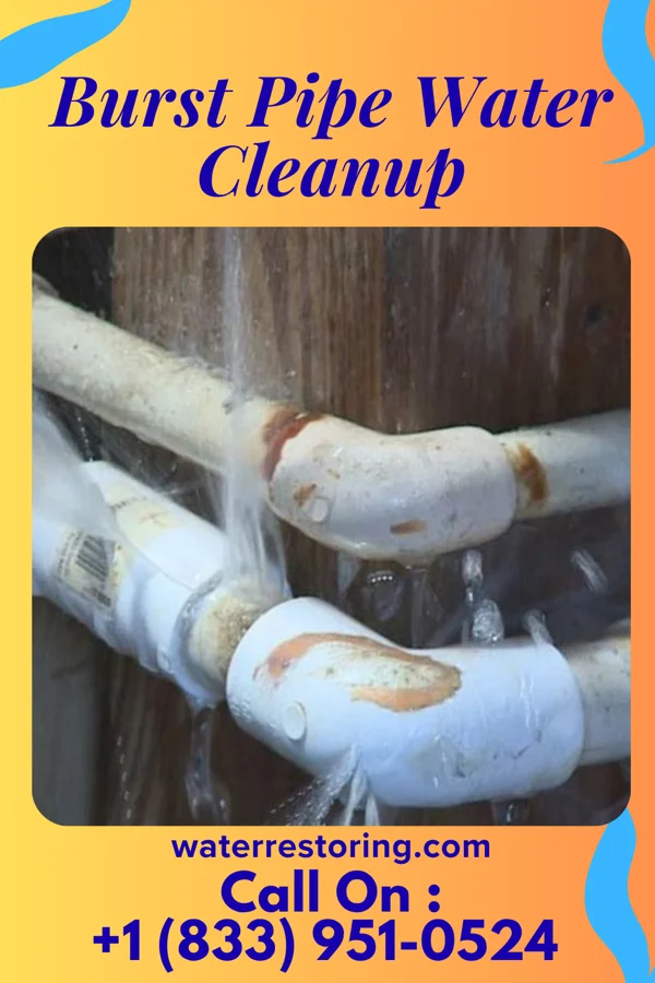 Burst Pipe Water Cleanup in Banks, OR