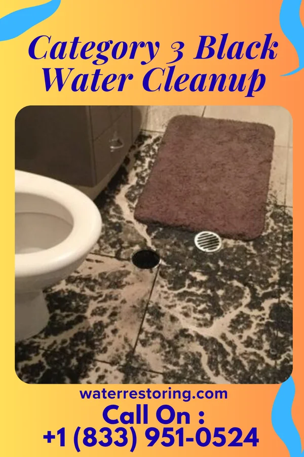 Category 3 Black Water Cleanup in Banks, OR